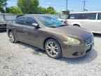 2013 NISSAN Maxima