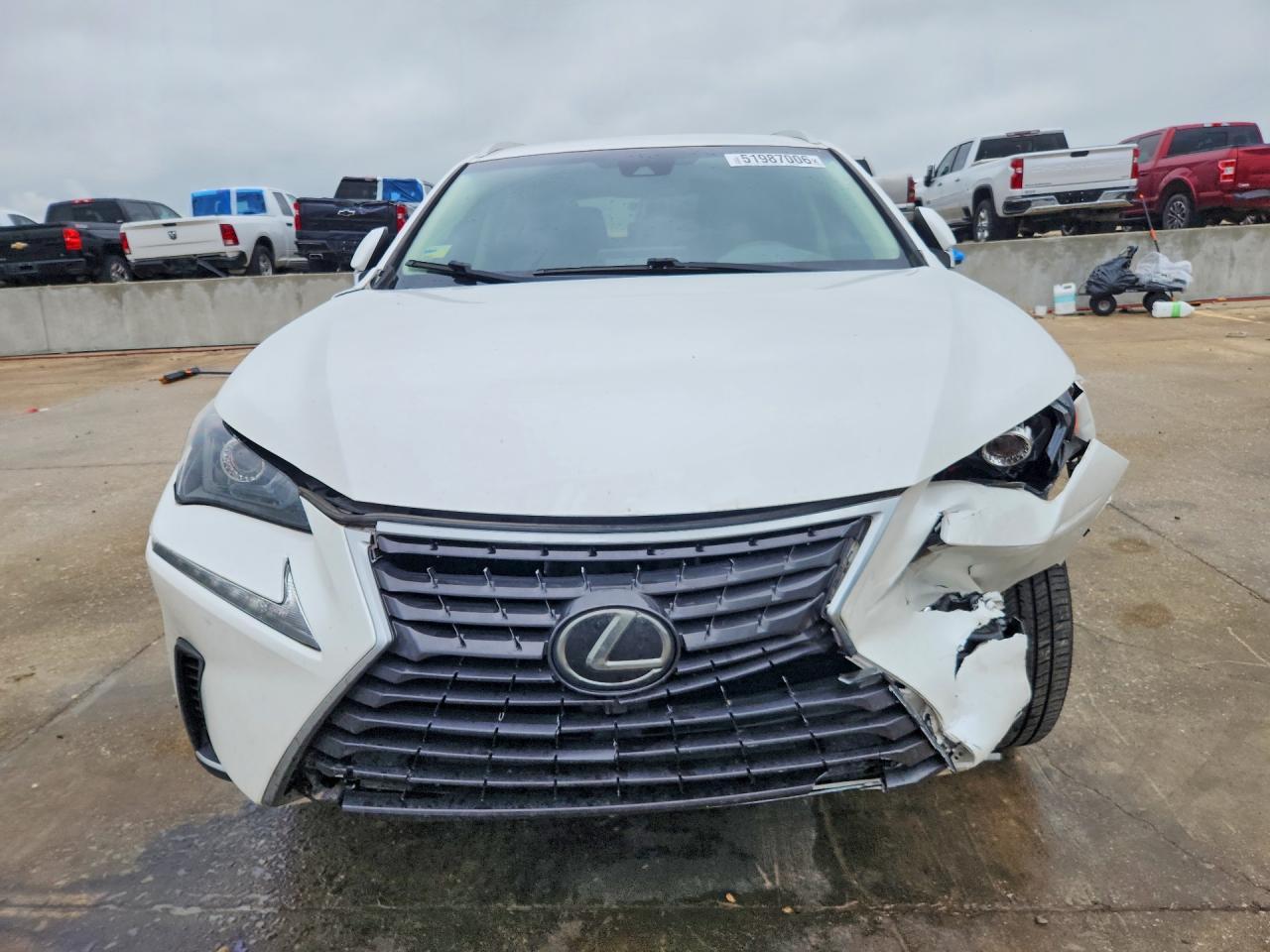 2019 LEXUS NX 300
