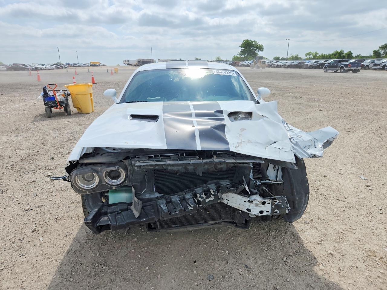 2021 DODGE Challenger