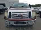 2010 FORD F-150 Lightning