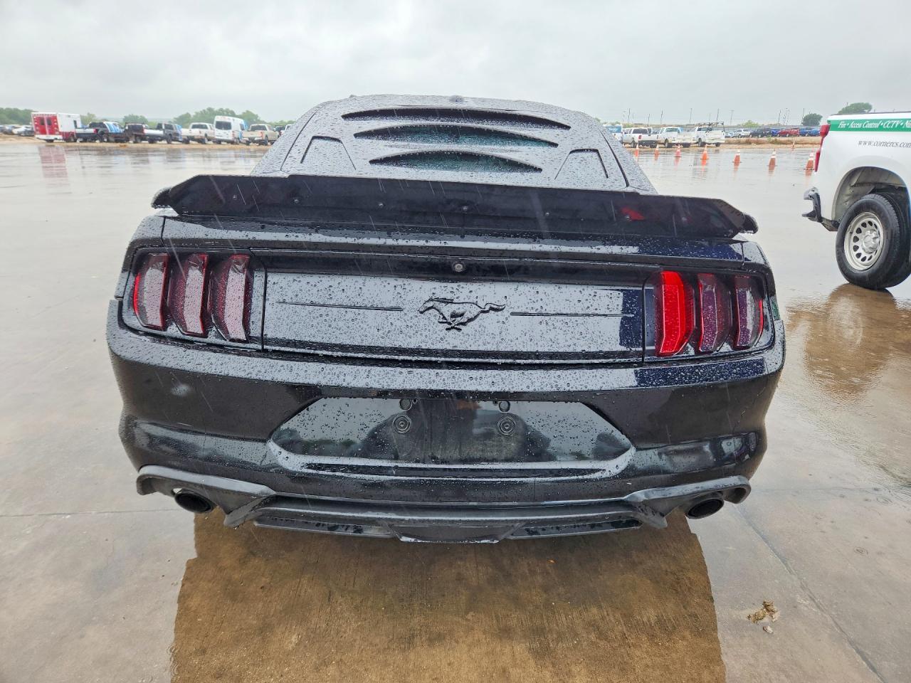 2019 FORD MUSTANG