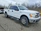 2013 FORD F-150 Lightning