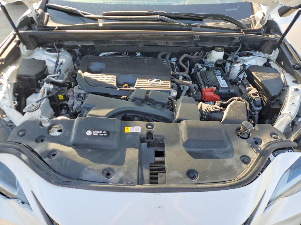 2024 LEXUS NX 250