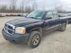 2005 DODGE Dakota
