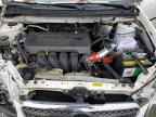 2006 TOYOTA COROLLA