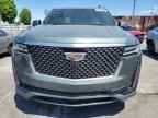 2024 CADILLAC ESCALADE