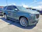 2024 CADILLAC ESCALADE