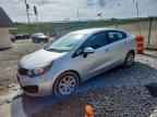 2014 KIA RIO