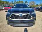 2023 TOYOTA Highlander Hybrid