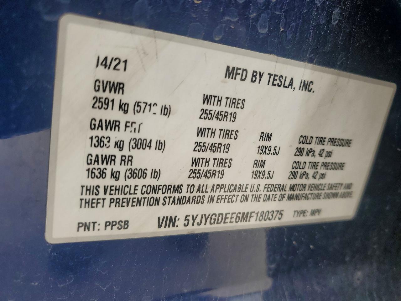 2021 TESLA MODEL Y