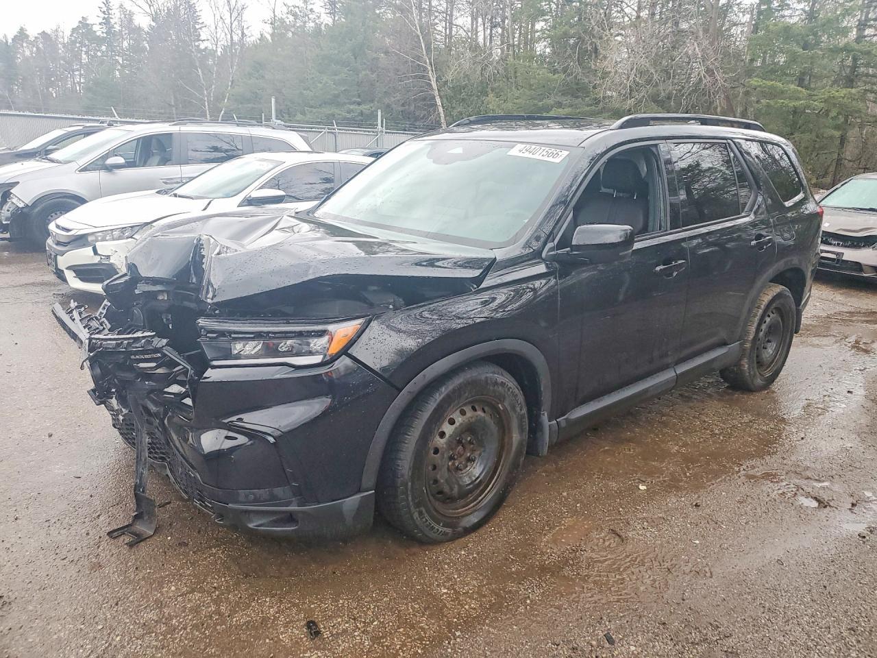 2025 HONDA PILOT