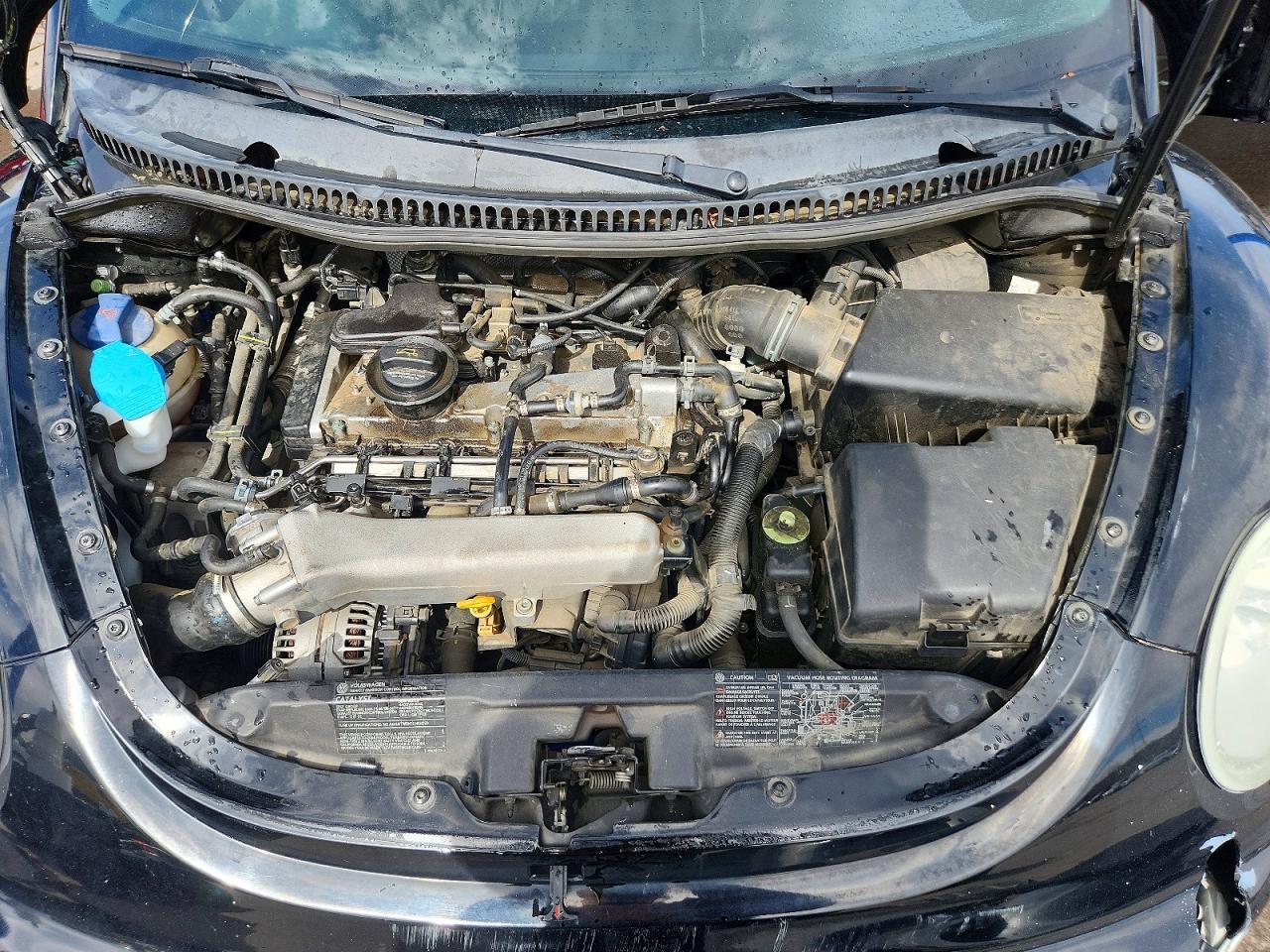 2004 VOLKSWAGEN Beetle