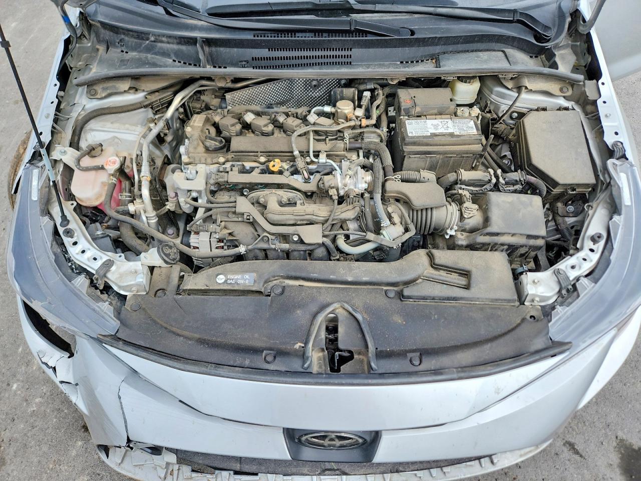 2023 TOYOTA COROLLA