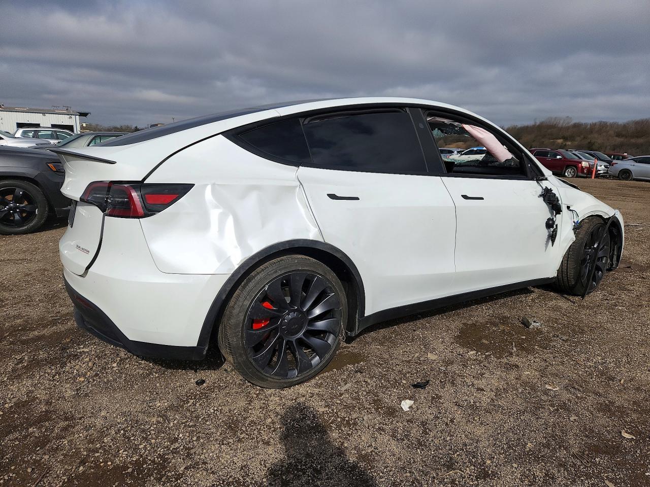 2025 TESLA MODEL Y
