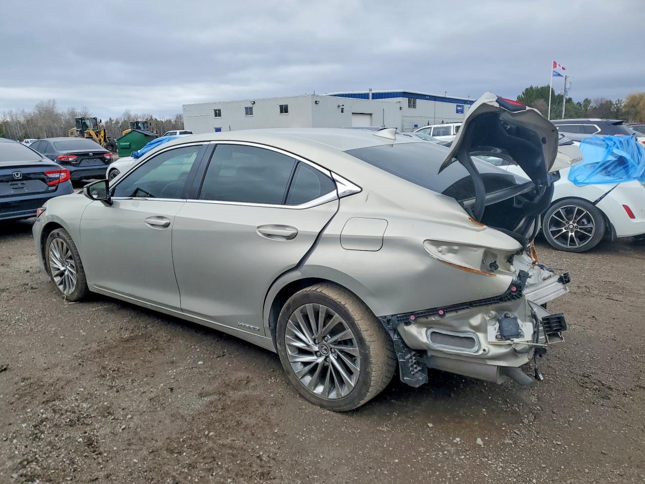 2019 LEXUS ES 300H