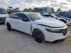 2025 HONDA ACCORD