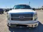 2010 FORD F-150 Lightning