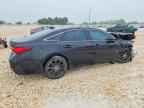 2019 TOYOTA Avalon