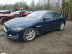 2017 JAGUAR XE
