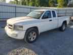 2010 DODGE Dakota