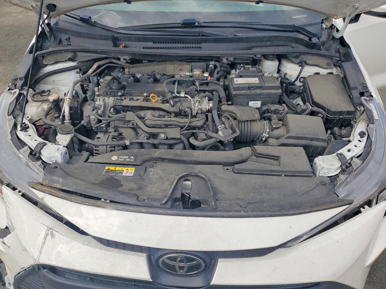 2023 TOYOTA COROLLA