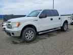 2013 FORD F-150 Lightning