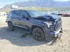 2024 TOYOTA Sequoia