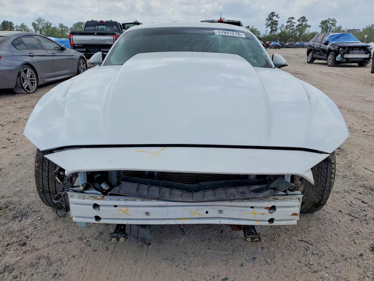 2019 FORD MUSTANG