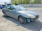 2004 LEXUS ES 330