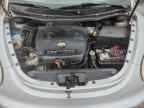 2005 VOLKSWAGEN Beetle