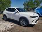 2024 DODGE Hornet
