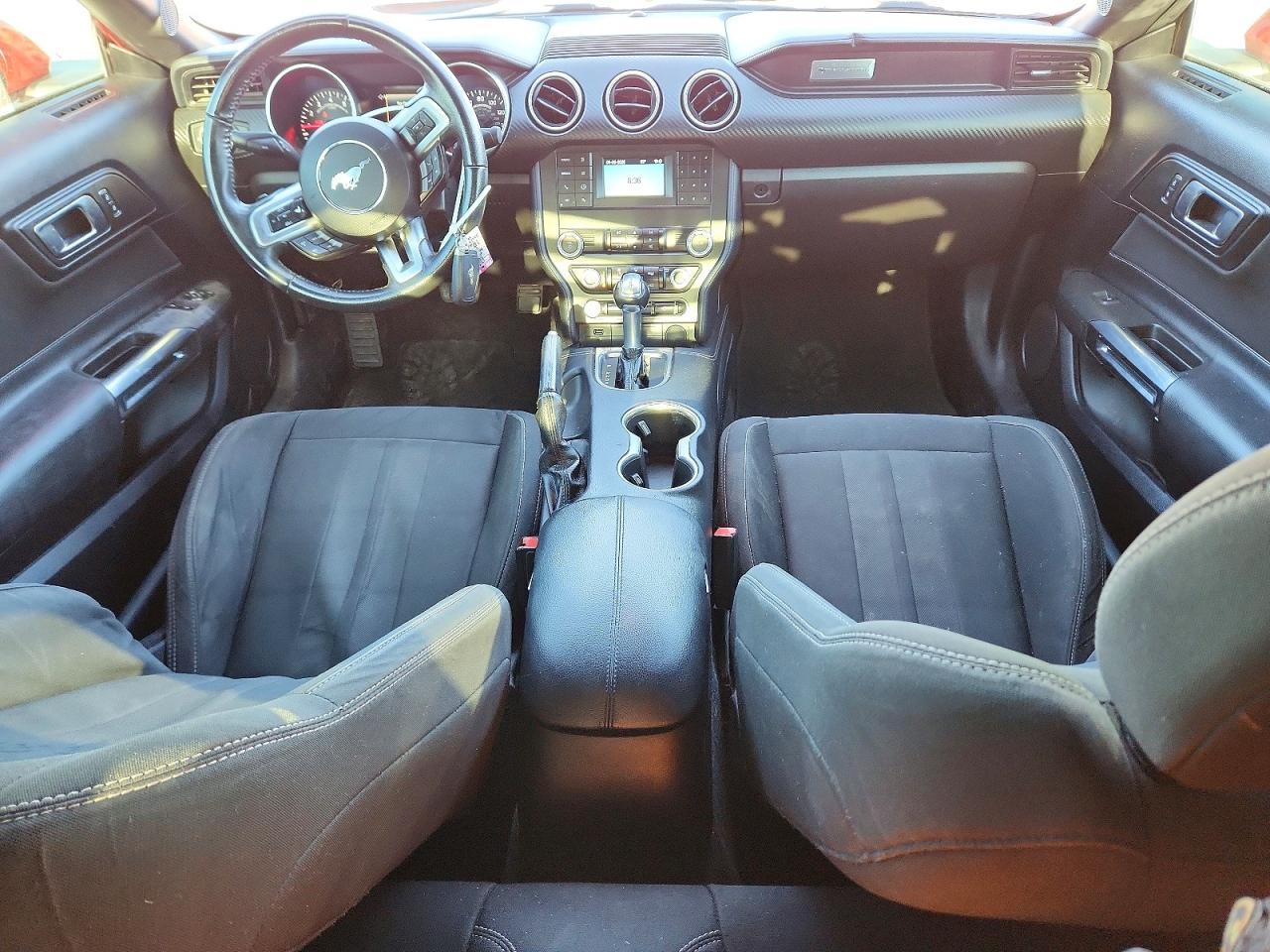 2019 FORD MUSTANG