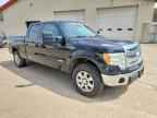 2013 FORD F-150 Lightning