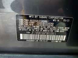 2023 SUBARU WRX