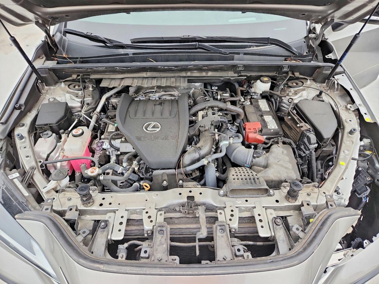 2024 LEXUS NX 350