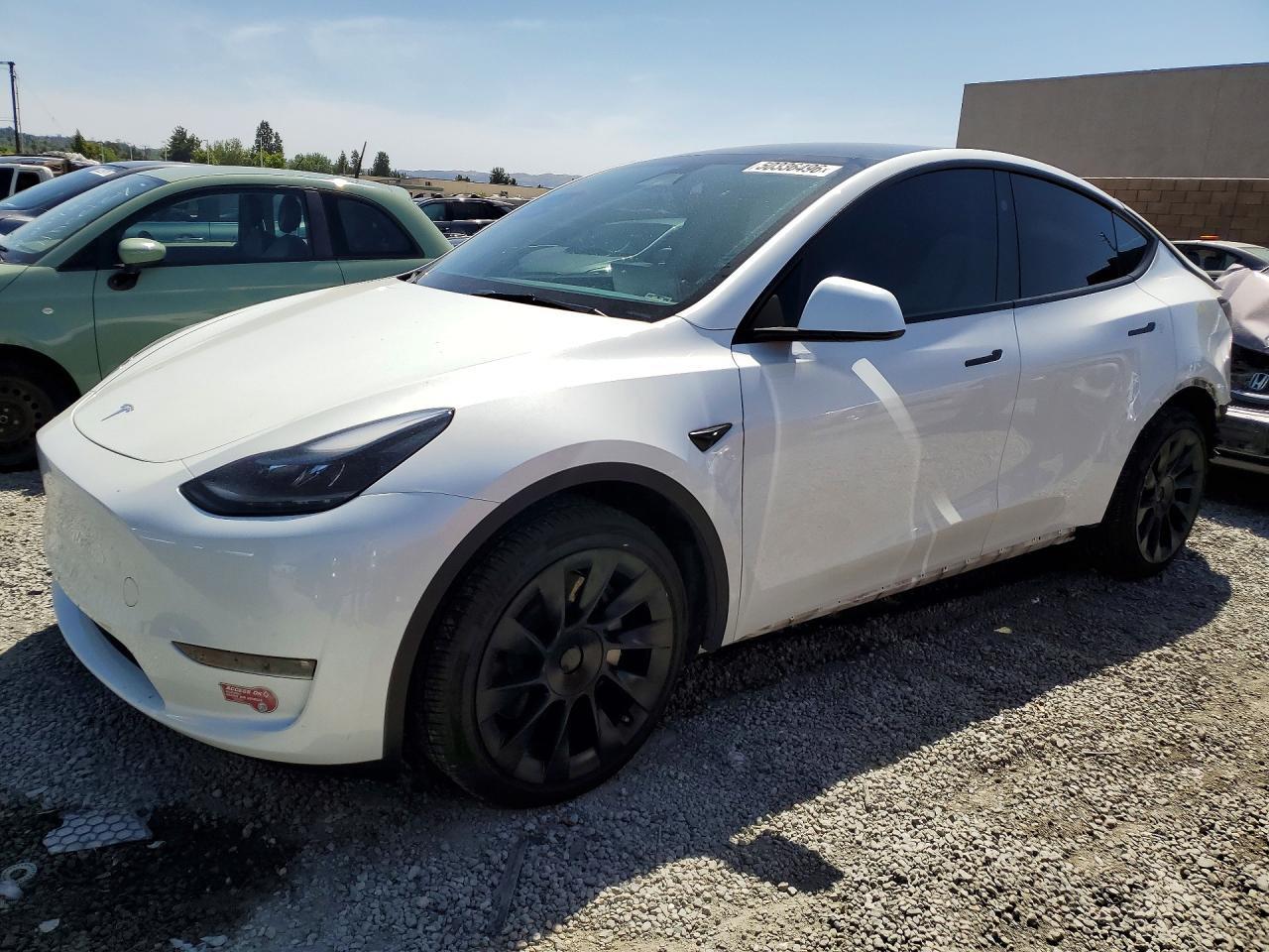 2024 TESLA MODEL Y