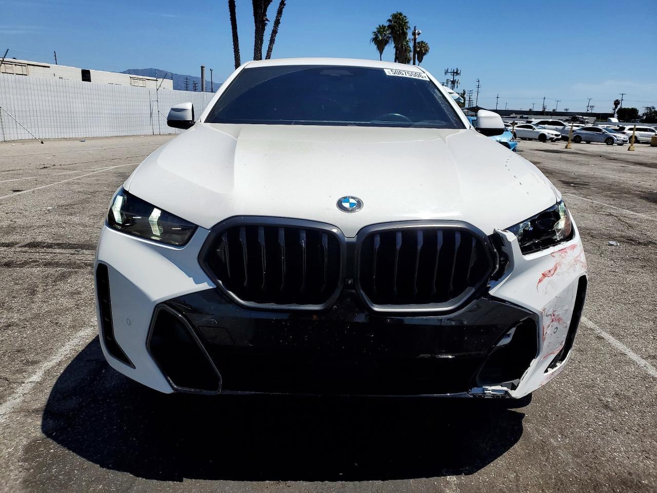 2024 BMW X6