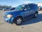 2009 FORD ESCAPE