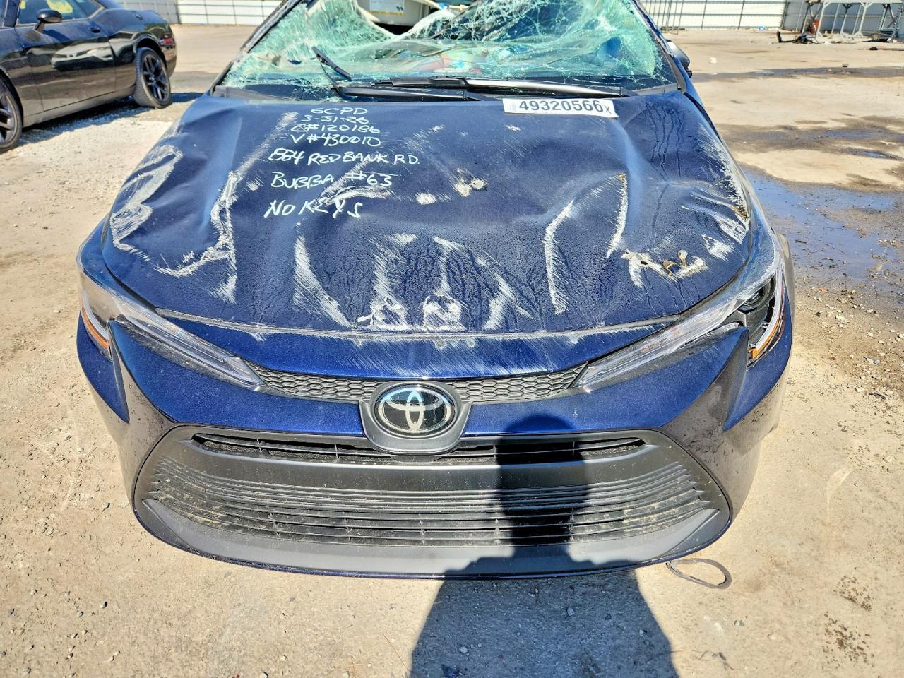 2026 TOYOTA COROLLA