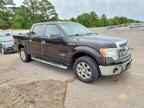 2013 FORD F-150 Lightning