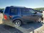 2009 HONDA PILOT