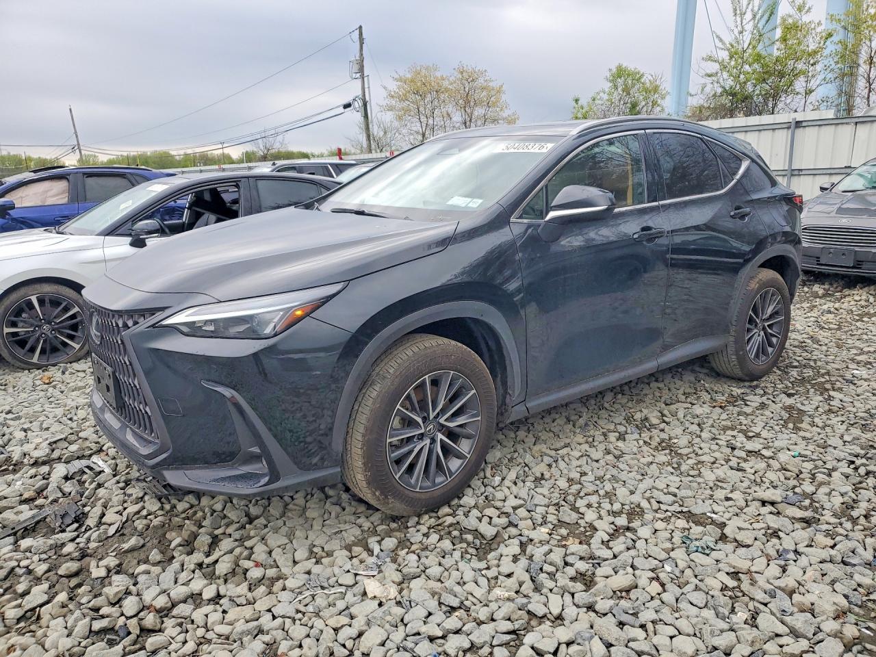 2025 LEXUS NX 350H