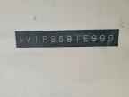 1999 Xoe Cf 8996