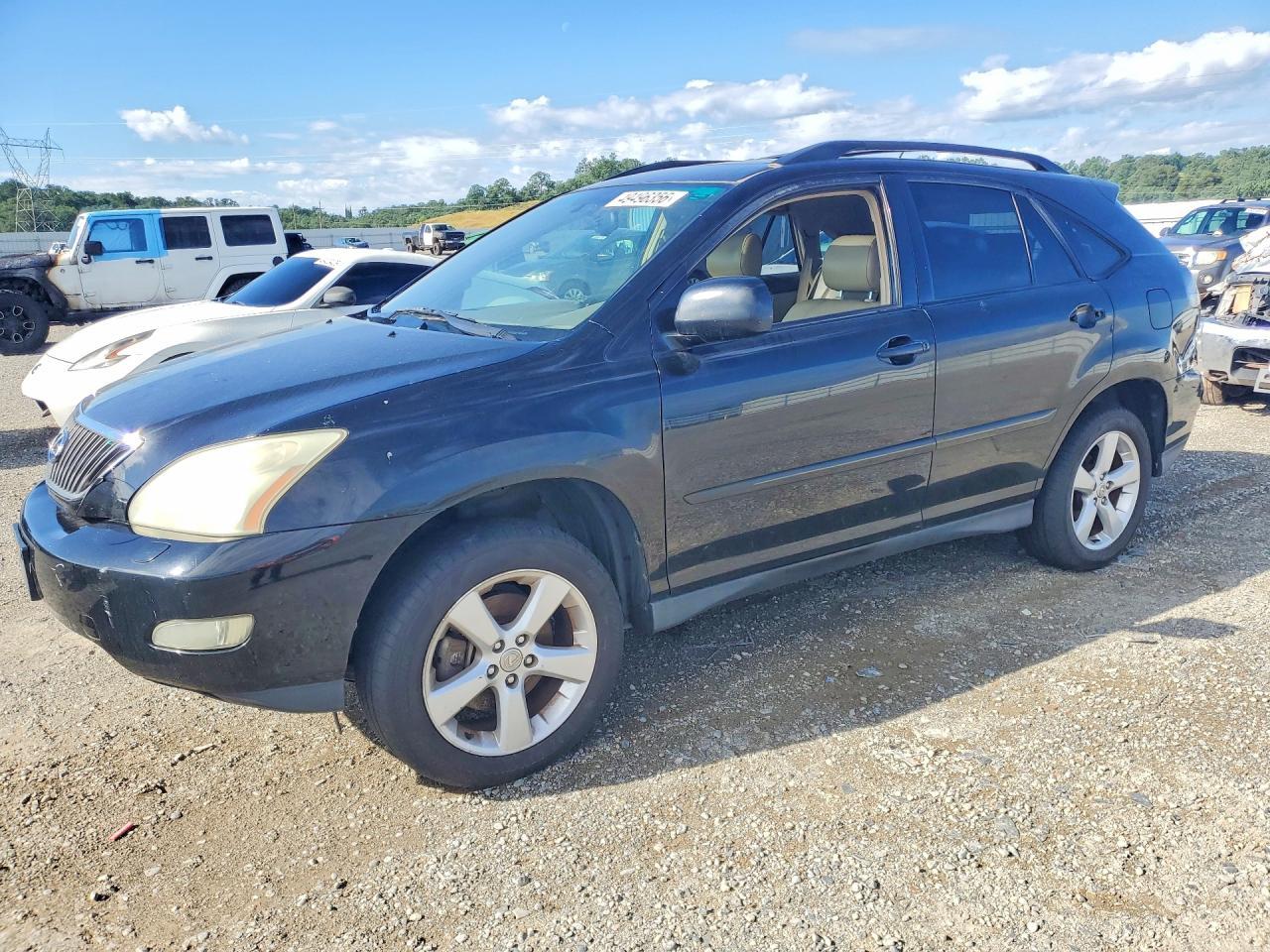 2004 LEXUS Rx 330