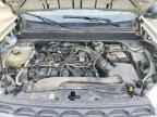 2024 FORD Maverick