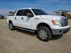 2012 FORD F-150 Lightning