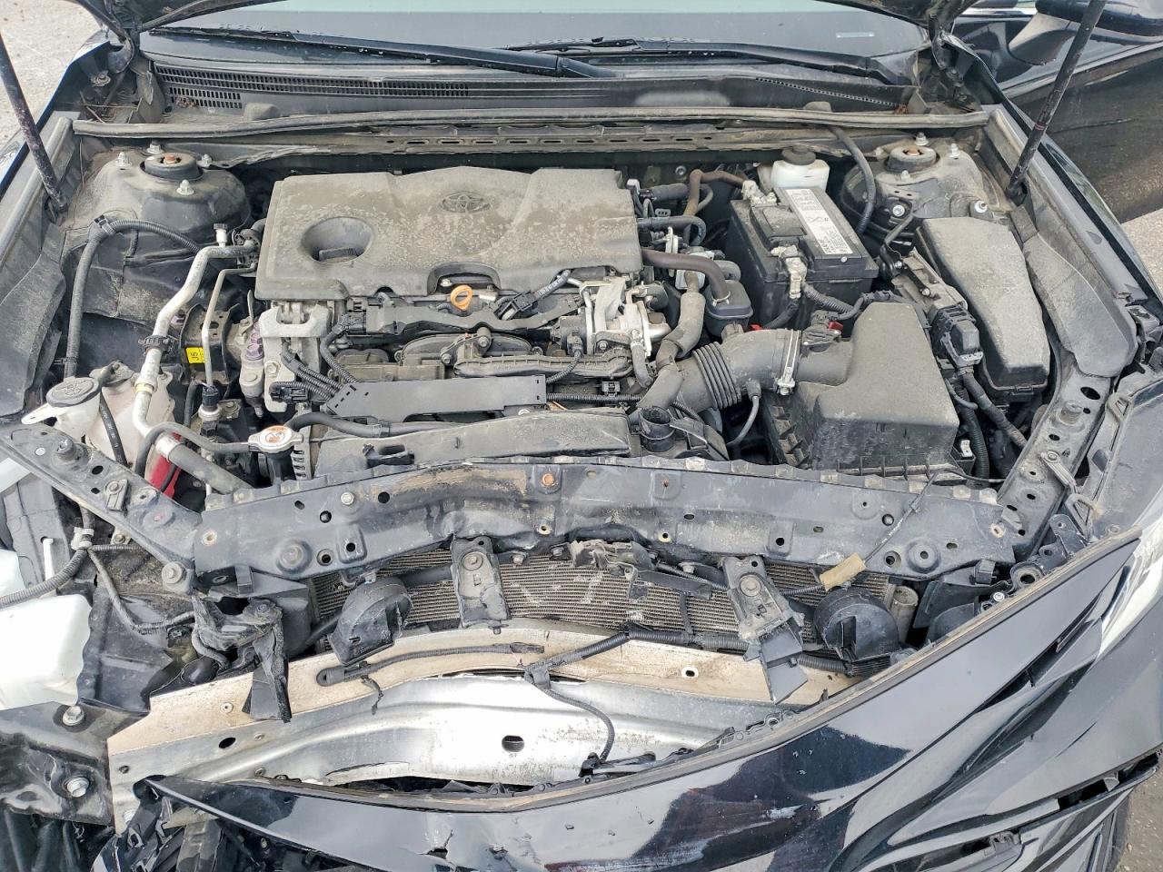 2019 TOYOTA CAMRY