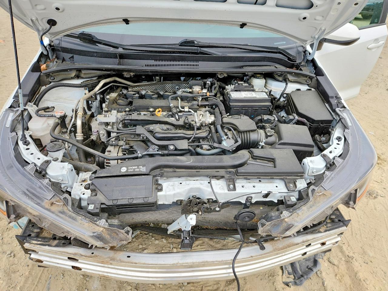 2023 TOYOTA COROLLA
