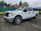 2014 FORD F-150 Lightning