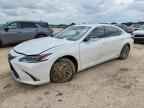 2019 LEXUS ES 300H